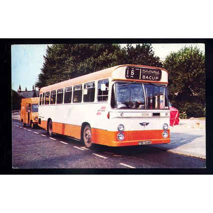 tm5509 - Selnec Northern Bus no 6046 - postcard