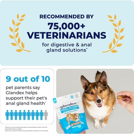 Vetnique Glandex Anal Gland Soft Chew Treats with Pumpkin for Dogs Digestive Enz
