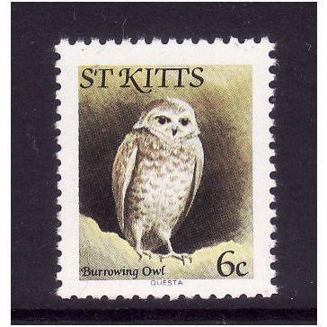 ST KITTS 1981 6c BURROWING OWL SG 56a U/M MINT