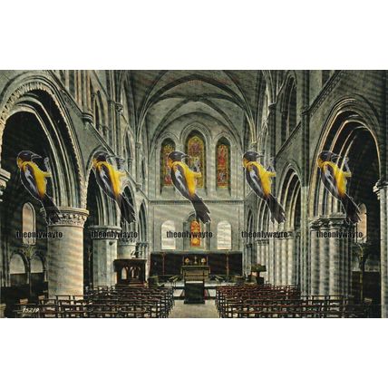 Nave, Shoreham Church, Sussex, Valentines Series Postcard, 1900s