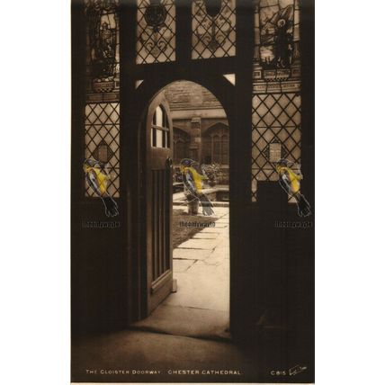 Cloister Doorway, Chester Cathedral, Cheshire, RP C815 Walter Scott Postcard