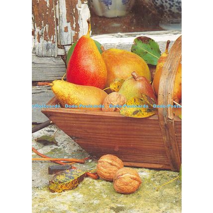 D023686 Mayer. Le Scanff. The Garden Picture Library. Country Living. 1997