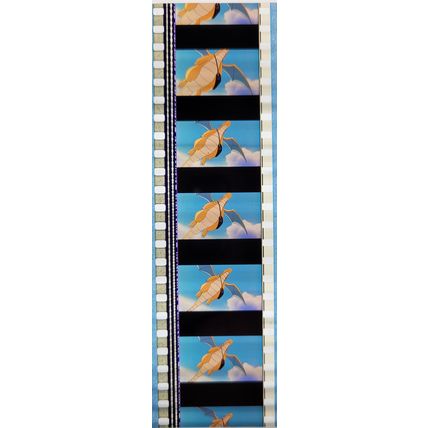 Pokemon . Pk TSR - b086H . 1 STRIP OF 5 - 35MM FILM CELLS