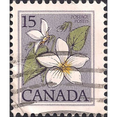 CANADA, FLOWERS, Canada Violet, grey 1979, 15c