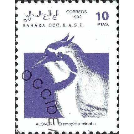 WESTERN SAHARA, BIRD, Temminck's lark, violet 1992, 10ptas