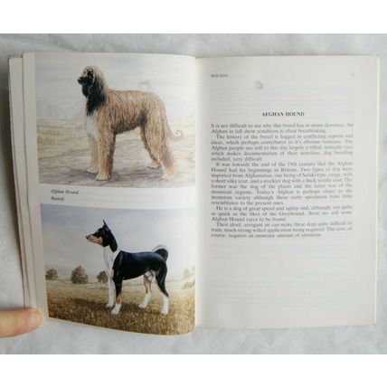 1990 Pedigree Dogs in Colour Book One Hounds by Roy Hodrien