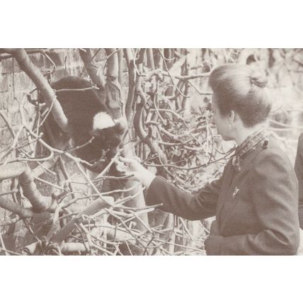 Princess Anne at Marwell Zoo Opening Red Ruffed Lemur Postcard