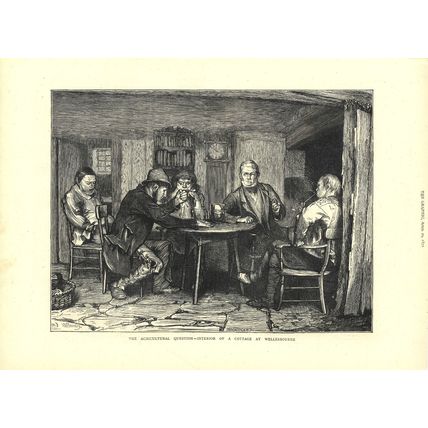 AGRICULTURAL QUESTION 1872 Horace Harral VICTORIAN ENGRAVING
