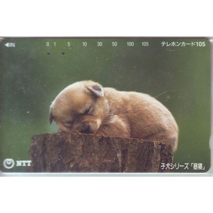 Puppy Sleeping On Trunk Japan NTT Phone Card