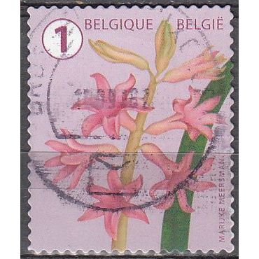 Belgique 2016 COB 4656 O Cote (????) ?.?? € Fleur La Jacinthe Cachet rond
