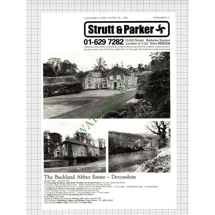 X1969) The Buckland Abbey Estate Devonshire - 1981 Cutting