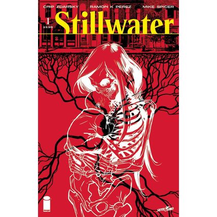 STILLWATER #1 (2020 IMAGE) CHIP ZDARKSY 1ST PRINT HOT NEW SERIES! SOLD OUT NM+