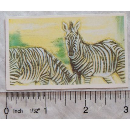 Brooke Bond Going Wild No. 13 Grevy's Zebra, Wildlife Survival Challenge
