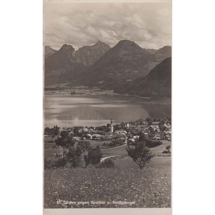 Rettenkogel Austria Austrian Vintage Birds Eye Postcard