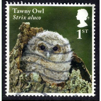 GB 2018 QE2 1st Owls ' Tawny Owl ' used SG 4089 ( M350 )