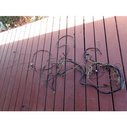 1955 DeSoto Under Dash Wiring Harness OEM Maybe Engine