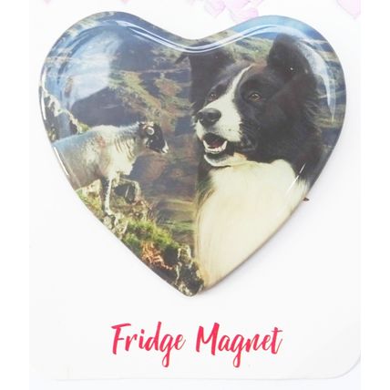 BORDER COLLIE FRIDGE MAGNETS STUNNING DOG BREED MAGNETS