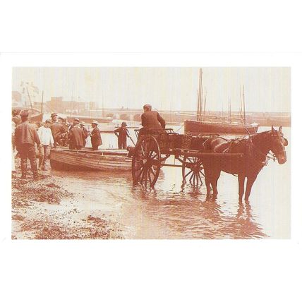 Postcard Fishermen Horse & Cart St Ives Beach 1903 Fishing Boat - Nostalgia