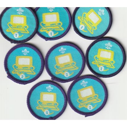 Scout Badges 8 x Staged - Computer 2002+ - 2 x White & 6 x Black Backs (BY49)