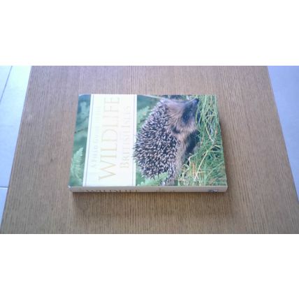 A Field Guide to the Wildlife of the British Isles. Alice Tomsett (Paperback)