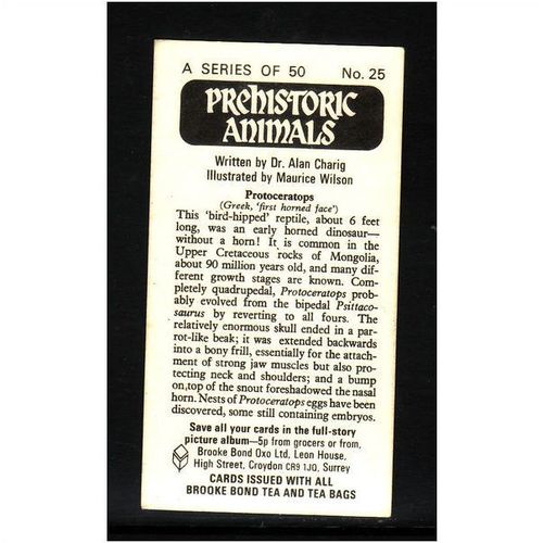 Brook Bond Prehistoric Animals Protoceratops No 25 Mint