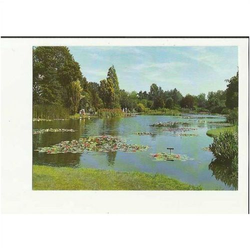 Yorkshire POCKLINGTON Burnby Hall Top Lake Postcard by Burstwick