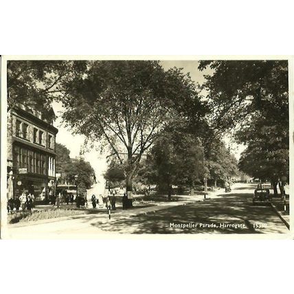 Yorkshire HARROGATE Montpelier Parade Postcard (Salmon 15359)