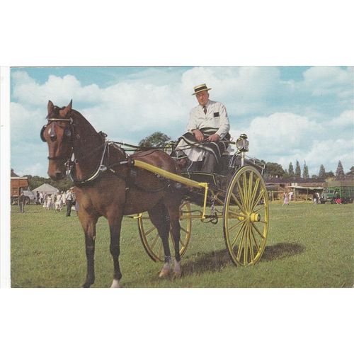 Two Wheeled Horse And Cart Postcard (MV20206)