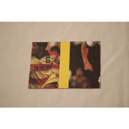 New England Tea Men 1979 Topps LOGO STICKER NO. 14