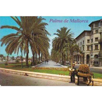 Palma de Mallorca Paseo Sagrera SpainPostcard unusedVGC