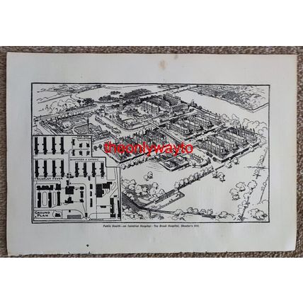 Brook Isolation Hospital, Shooter's Hill, Plan, Book Illustration (Print), c1907