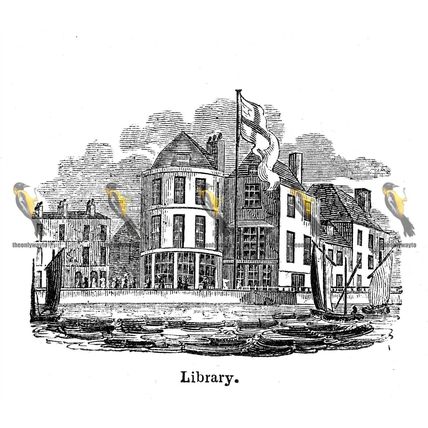 Library, Hastings, Sussex, England, 1840, MODERN REPRODUCTION
