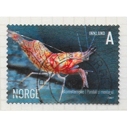 NORWAY 2007 PINK SHRIMP MARINE LIFE Pandalus montagui A INLAND RATE USED