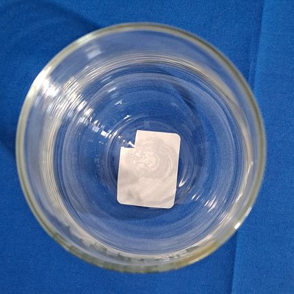 Royal Norfolk BLUE HYDRANGEA Stemless Wine Glasses "Happy Spring" Butterfly