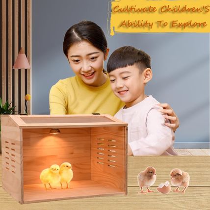 Brooder Box for Chicks, 3-8 Chicken Heater, Poultry Brooder with Heaters for Bab