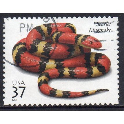 USA 2003 Reptiles & Amphibians - Scarlet Kingsnake 37c Used