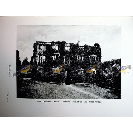 Berry Pomeroy Castle & Launceston Castle Keep, Book Illustration (Print), 1926
