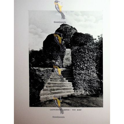 Berry Pomeroy Castle & Launceston Castle Keep, Book Illustration (Print), 1926