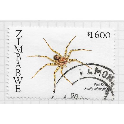 ZIMBABWE 2003 AFRICAN SPIDERS FAUNA ENVIRONMENT WALL SPIDER INSECT $1600 USED