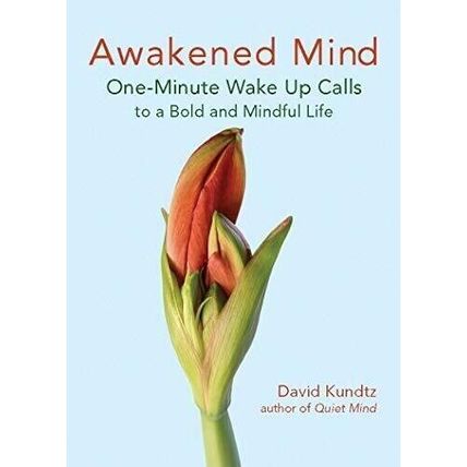 Awakened Mind by David Kundtz, paperback, good condition,