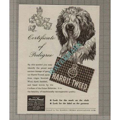 C3418) Harris Tweed Old English Sheepdog SMALL Advert - 1951 Clip