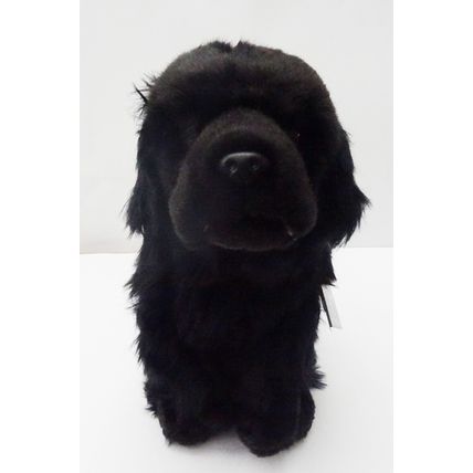 Newfoundland 12" toy dog as it is, personalised, gift wrapped, 3 options
