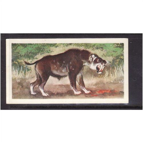 Brook Bond Prehistoric Animals Smilodon No 49 Mint