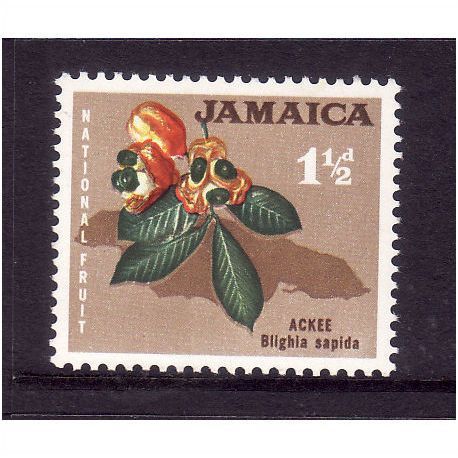 JAMAICA 1964 SG 218 1 1/2d ACKEE U/M MINT