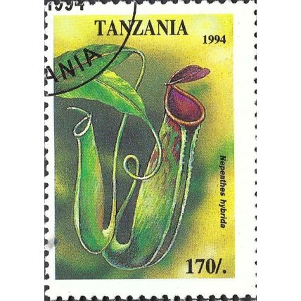 TANZANIA, FLOWER,, yellow 1994, 170/-