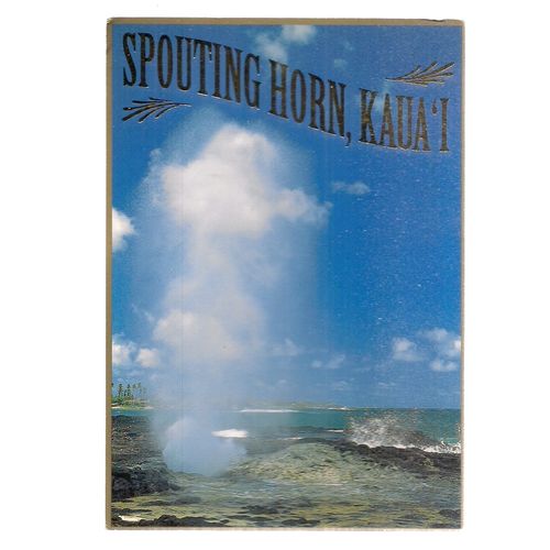 SPOUTING HORN, KAUA'I, HAWAII used postcard 2001 =