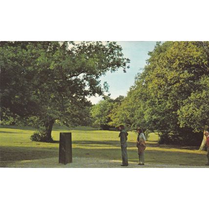 Rufus Stone New Forest Postcard used crease