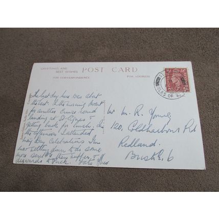 1950s Gibson RP Postcard - Cormorant in Fighting Mood - Bird / Twitcher interest
