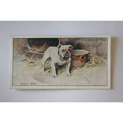1925 John Player & Sons Dogs No. 4 Bulldog