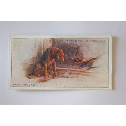 1925 John Player & Sons Dogs No. 2 Bloodhound